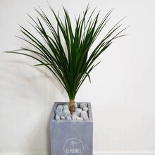 ��������Ѫ���������F���҃��k���ҿ͏d���ҕ����Gֲ�����F��