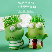 儿童迷你盆栽创意桌面盆栽绿植幼儿园小朋友DIY种植发芽小植物