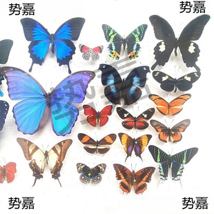 �����չ����Nԭ���s���G�����P���Żҵ����x���x�׃��@�̌W