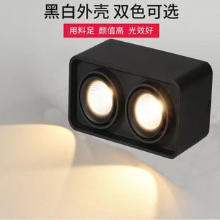 Casambi Rectangular Cob Surface-Mounted Spotlight Double-Headed Bold Lamp Living Room Home Downlight Aisle Led Simple Suction