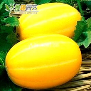 һ�����l��ϷN�� ���＾�N �ó������ϳ��� �׷N �̨�N������