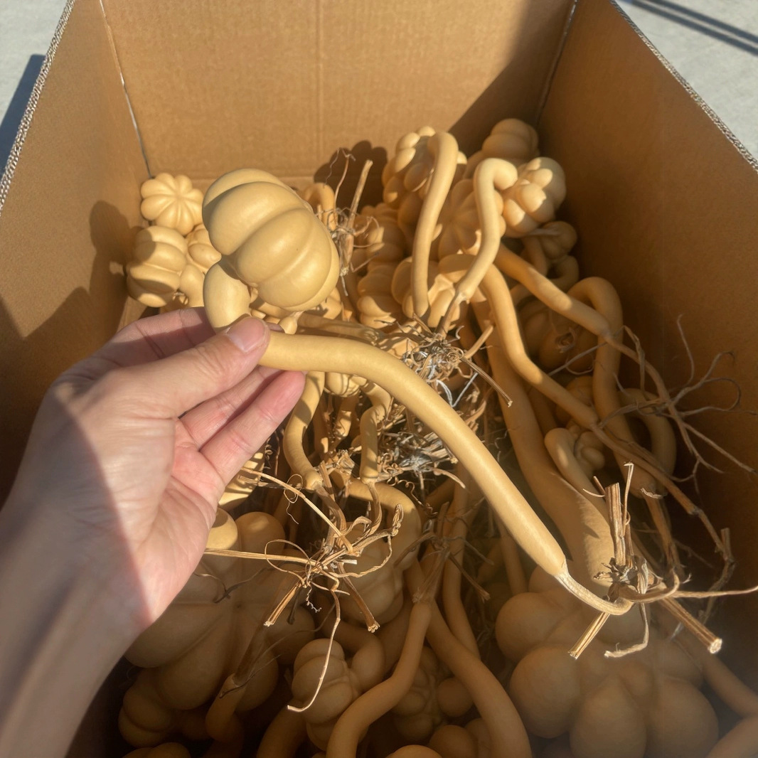 异形葫芦如意葫芦天鹅葫芦八字扣勒扎葫芦手把件摆件直播品类批发