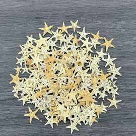 天然海星小扁星五角星手工diy海星工艺品首饰配件装饰微景观贝壳