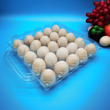 25ö��������̖�u���� �����̈��ˈ��u�����������u���ЏS�ҹ���