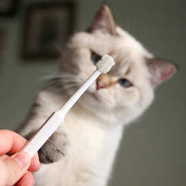 宠物狗狗猫咪牙刷360度口腔清洁牙齿改善口臭预防牙结石牙膏