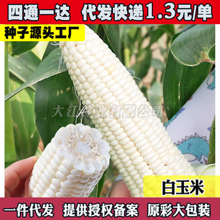 ������Ŵ6̖���׷N��,���Ŵ�rʳŴ���׷N�����S���r�����S����