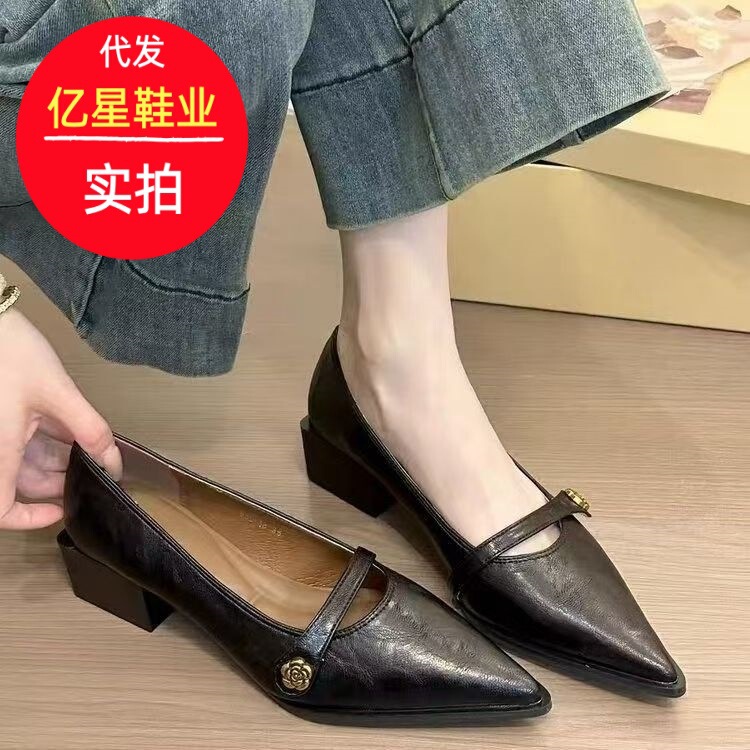 All-Match Fashion Retro Shallow Mouth High Heels Women's Camellia Buckle Thick Heel Shoes Pointed Toe Elegant Mary Jane Shoes All-Match Fashion Retro Shallow Mouth High Heels Women's Camellia Buckle Thick Heel Shoes Pointed Toe Elegant Mary Jane Shoes
