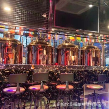 大中小型精酿啤酒厂设备生产 酒吧餐饮自酿啤酒设备