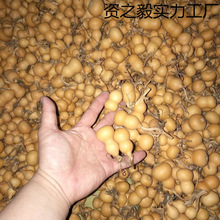 ���J��ȻС���J�]��覴��������Π��������]�п��Ԕ[��Ұ�������F