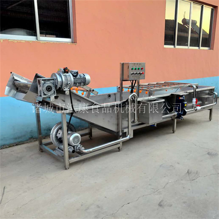 叶菜翻浪清洗机 水浴式水果鼓风清洗机器 自动调速果蔬清洗设备