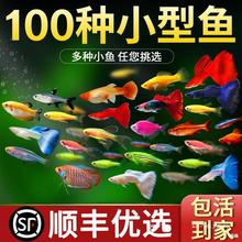 С�͟Ꭷ�����~�~��̖�^�p�~��ˮ���B�ͻ��ȸ�~�������