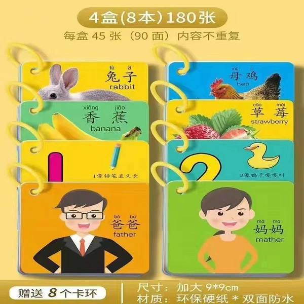 4 boxes: Animals+fruits and vegetables+recognition+character 360 chart
