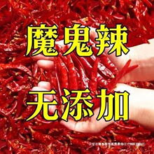 辣干辣椒批发辣椒干辣椒超辣香辣辣椒粉辣椒段干红辣椒批发