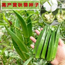 NӴļSNѴrļͥԺ߲˷Nݸ߮a