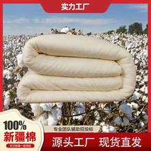 �½������޻��������޻����Ӽ����p�������w��һ��ȫ���ޱ�о���l