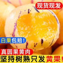 ����˅���ˮ���A���S�������rʯ���˅���������������������]