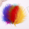 Manufacturers supply spot supply of full velvet feathers color full velvet feathers DIY turkey feathers wholesale