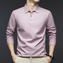 2025秋新款男士T恤衫 休闲翻领上衣珠地棉男长袖 一件代发AN2201