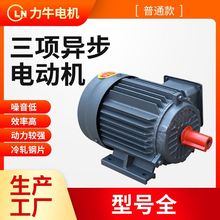 现货三相异步电机YE2-160L-6六极电机全铜线11KW电动机380V