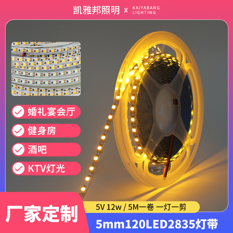 Led Light Strip Strip Light with Bedroom Lamp Living Room Ceiling Lamp Replacement Wick Lamp Panel Lamp Panel 2835 One Lamp and One Cut