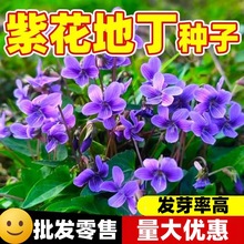 �ϻ��ض��N����ș���ϻ��ض����N���ļ��Nֲ����ș�ÿ�ض�Ұ����