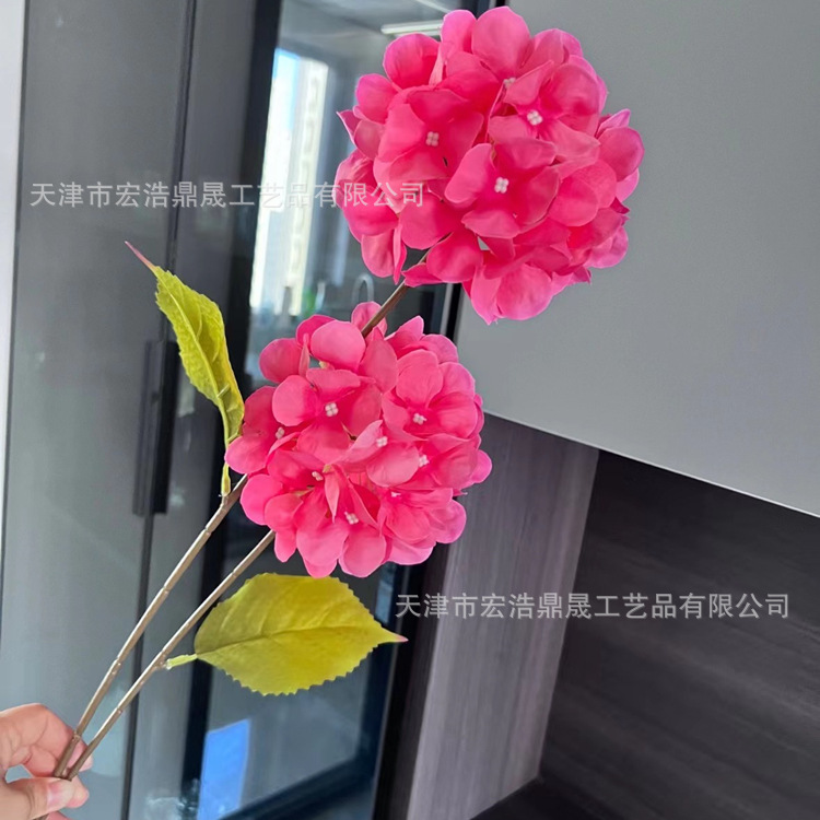 微信图片_20230321163721_副本