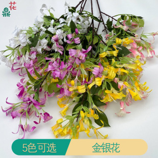 ���½��y�� ��֦���Ƞ�ţ�� �µ��ӭ�e�b��滨 ���̲�������