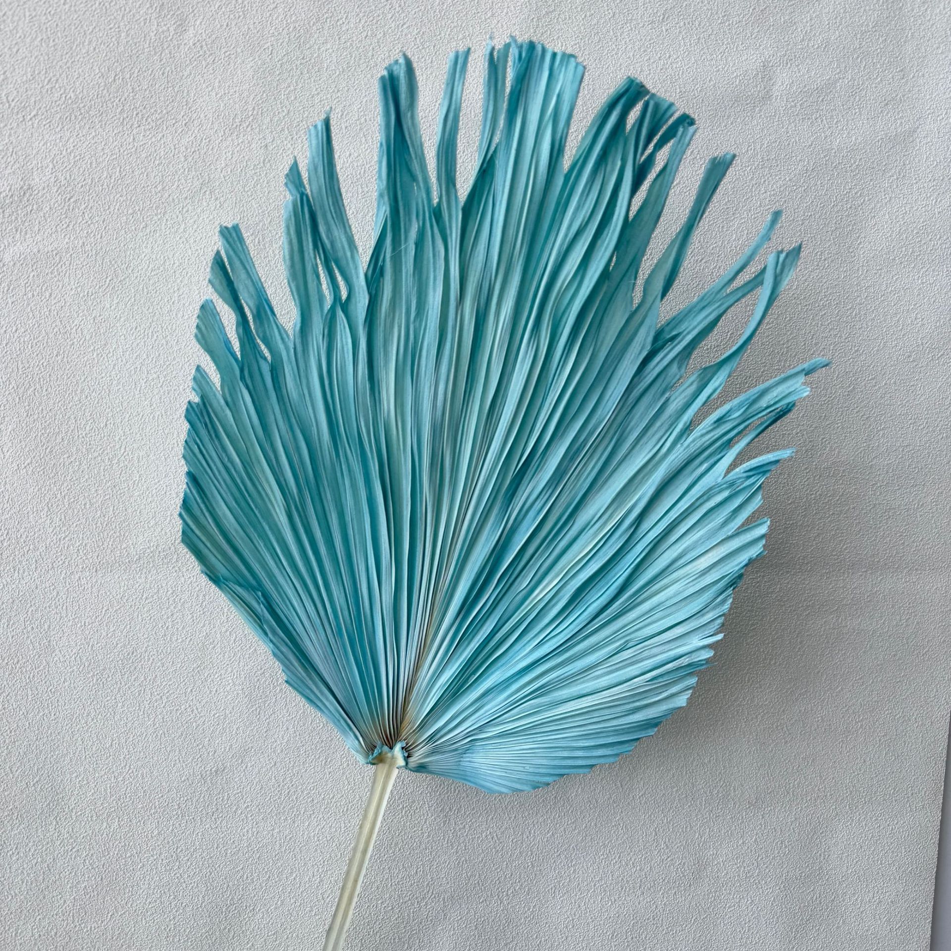 미디엄 트림 티파니 블루