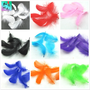 ����S��ֱ�N6-12cm���h��ë���Zë��c�b����W����100��