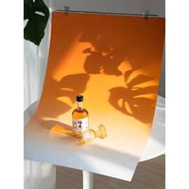 摄影渐变背景纸双面拍摄拍照道具背景板蓝白静物产品不反光背景布