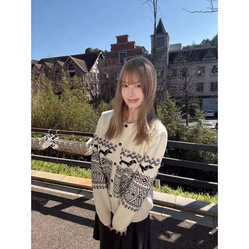 Dachshund Fair Isle Button Cardigan Casual Loose Relaxed Knit Sweater Casual Top