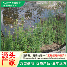 ���B�ޏ͌��òݻ��M�� �͝�M�ϻ첥���N���o�¾G��������