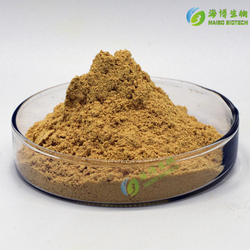 Yeast Nucleotides 99% Feed Grade Nucleotides Haibo Biotech 1kg Minimum Order