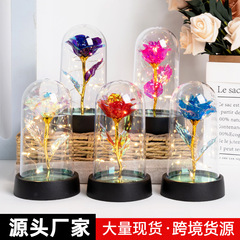 七夕のバレンタインデーの爆発的な永生花ガラスのランプカバーのバラの金箔の花のプレゼントの誕生日プレゼントの新商品の置物