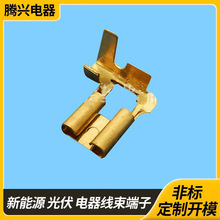 �S��ֱ�N�B����ĸ����205̖î���Ӿ��~���ӱ��U�z�S�~��Ӿ�����