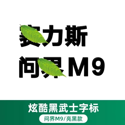 Decoration Modification Car Logo — Car logo - wenjie-m9-coverage-model-cels-word-mark