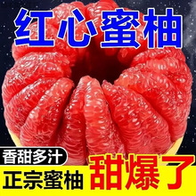 福建漳州红心柚子红肉蜜柚水果新鲜当季整箱蜜柚红柚中国