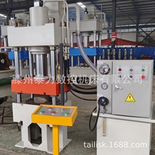 泰力100吨160吨200吨铁饼成型金属整形四柱液压机厂家定制销售