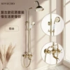 Zirconium gold plum blossom handle shower set (high standard configuration)