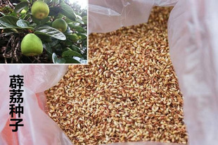 ޵��N�ӡ������ӣ�ľɏ�����۹����������������� ����