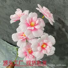 ������滨6ͷ����ĵ������ĵ���ٻ����滨����ٻ�װ�����컨