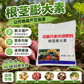 根茎膨大素地下块茎猛长膨大增粗增白增产浅水藕防裂防空心防裂