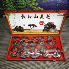 长白山灵芝干货整枝紫灵芝整朵东北林芝礼盒装中药材批发源头代发
