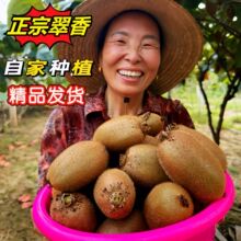 �������J���ґ��������rˮ��10���b�G���殐���ش�����]������