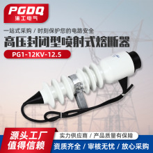 高压封闭型喷射式熔断器PG1-12KV-12.5型  高端新品