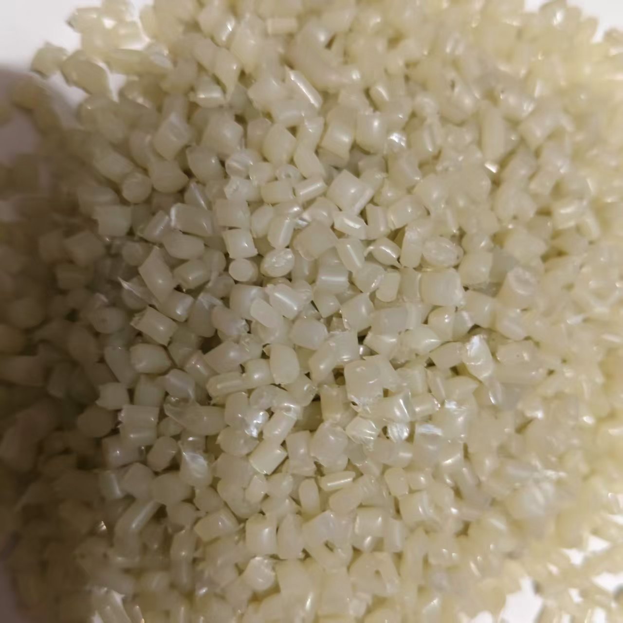 微信图片_20250629204123