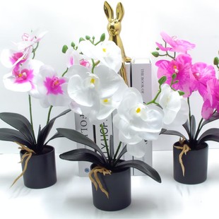 �¿���滨�ٻ��[�O�͏d�����b�Ʒ�廨�[����ˇ�b�Ʒ�ٻ����l