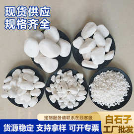白卵石砾石园林造景水磨石白石子白碎石磨圆鹅卵石水洗石白色石子