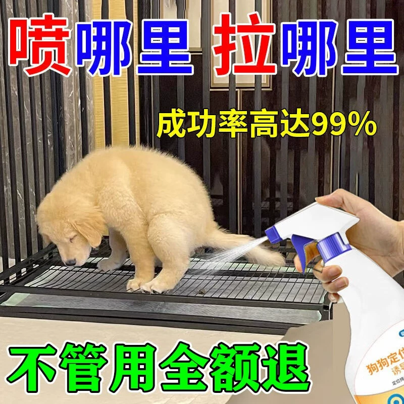 [Учитесь в тот же день] индуктор дефекации с фиксированной точкой собаки моча собаки дрессировка собаки не тянуть вокруг