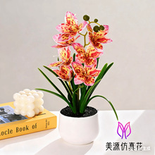 7�^���m�����Է��滨�҃��b�Ʒ���컨����Ҿӕ����͏d�[���辰